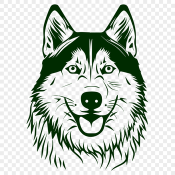 Stunning Husky Drawing