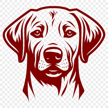 A close-up illustration of a Labrador Retriever's head, ideal for vector design and clip art.