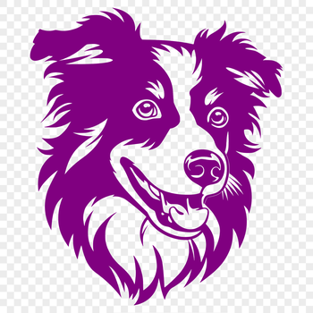 Illustration of a typical Australian Shepherd dog breed with distinctive head features.