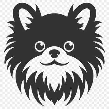 Stunning Pomeranian - For Vinyl Project