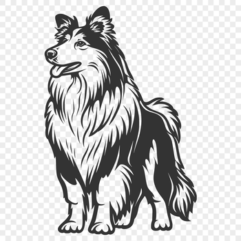 A small to medium-sized dog with a distinctive coat pattern and erect ears, standing on its hind legs in a profile view.