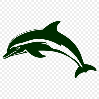 A realistic illustration of a dolphin in full body form, suitable for vector design and commercial or personal use.