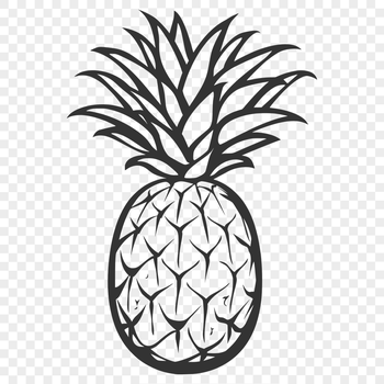 Creative Pineapple - Craft PNG