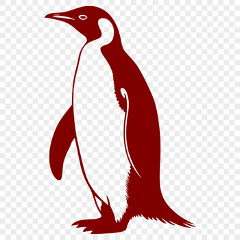 Stunning Penguin Vector Art