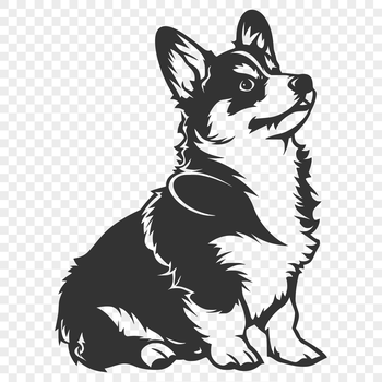 A full-body illustration of a sitting Welsh Corgi, suitable for use in graphic design projects.