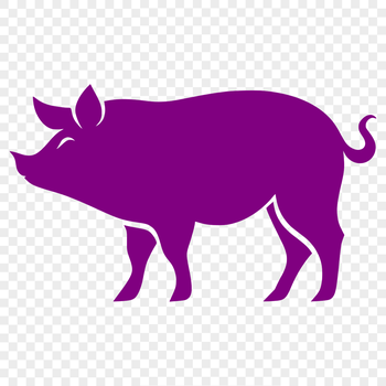 A detailed illustration of a standing farm animal, depicted in full body form.