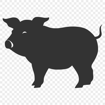 A detailed illustration of a pig in a standing position.