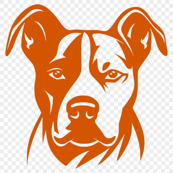 A close-up illustration of a Pitbull's head, suitable for vector art and design projects.