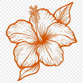 Illustrative rendering of a hibiscus flower with intricate details, suitable for vector design projects.