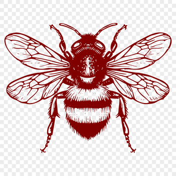 A detailed illustration of a bee's full body, suitable for gardening and design projects.