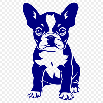 A detailed illustration of a sitting Boston Terrier dog from the front.