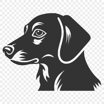 A detailed illustration of a dachshund's head, suitable for vector design projects.