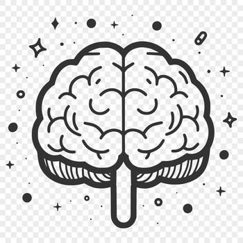 A detailed illustration of the human brain's anatomy, suitable for vector design projects.