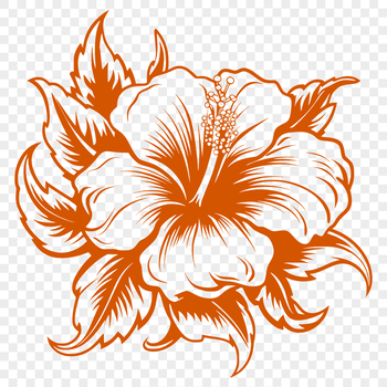 A detailed illustration of a hibiscus flower with large, showy blooms and long stamens.