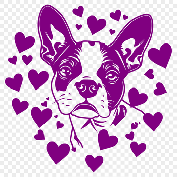 A Boston Terrier dog with heart shapes surrounding its head.