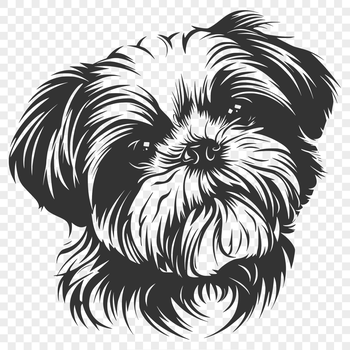 A vector illustration of a Shih Tzu dog's head from a side view.