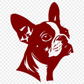 A vector graphic representation of a Boston Terrier's facial features, ideal for digital design applications.