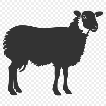 A full-body illustration of a sheep in a farm setting, suitable for vector designs and clip art projects.