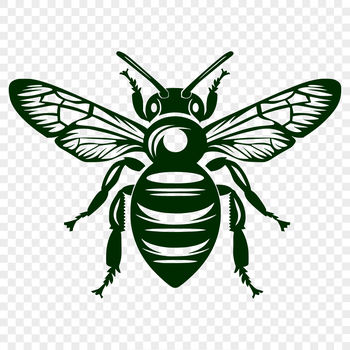 A detailed illustration of a bee from full body perspective.