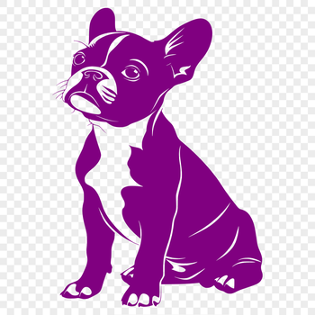 Boston Terrier dog sitting in a full body illustration suitable for vector art projects.