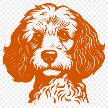 A vector illustration of a poodle's head.