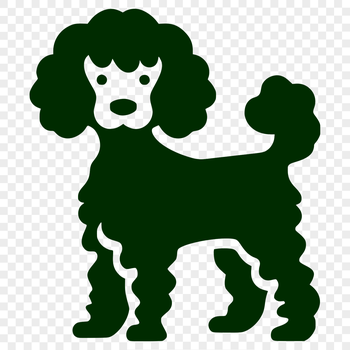 A stylized illustration of a full-body standing poodle as a vector graphic.