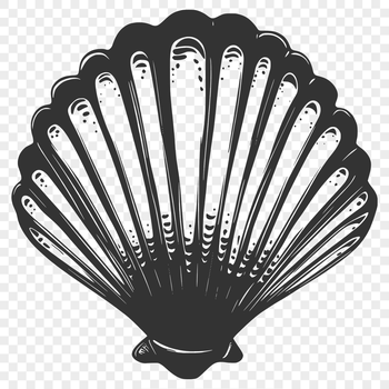 An open-ended seashell with intricate details, suitable for use in digital art and design projects.