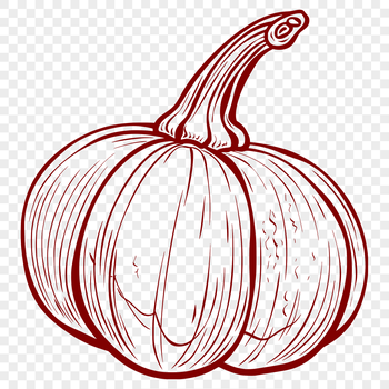 Illustrative graphic representation of a squash fruit, suitable for vector graphics design.