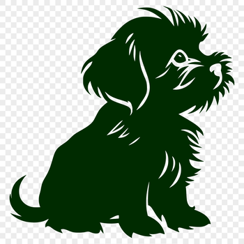 A full-body illustration of a sitting Shih Tzu dog with endearing features.