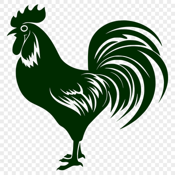 A detailed illustration of a full-body chicken, suitable for vector design projects.