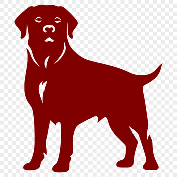 A high-quality digital illustration of a standing Rottweiler dog in full body pose.