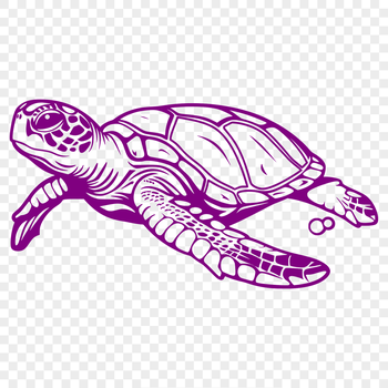 A digital illustration of a sea turtle in full body pose, suitable for vector design and cutting machine projects.