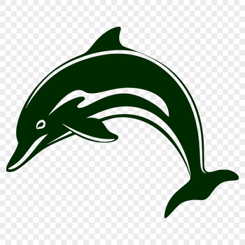 A high-quality digital illustration of a dolphin in full body view.
