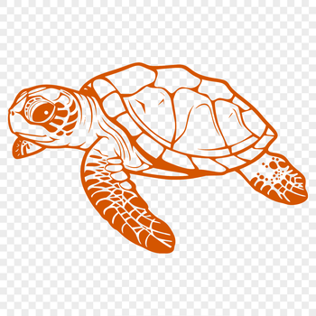 A detailed illustration of a full-body sea turtle, suitable for clip art and vector design projects.
