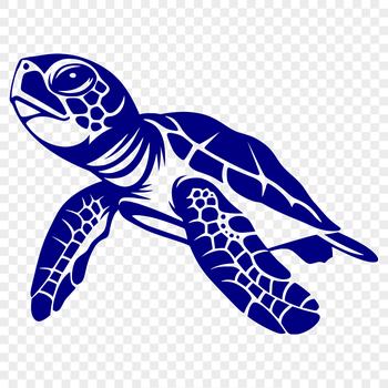 A detailed illustration of a sea turtle in full body pose, suitable for vector graphics.