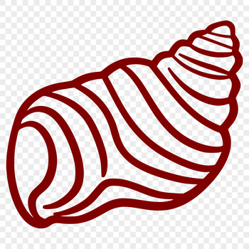 An illustration of a realistic seashell in various stages of growth, suitable for vector art projects and design templates.