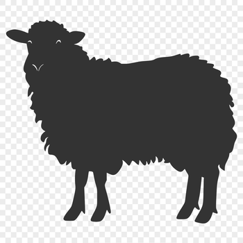 A detailed illustration of a farm animal, showcasing the sheep's full body in a realistic depiction.