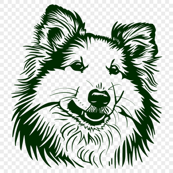 Stunning Shetland Sheepdog - For Laser Project