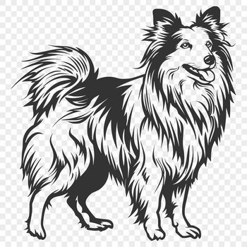 Close-up vector illustration of a standing Shetland sheepdog dog breed.