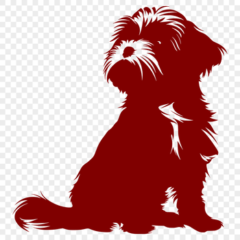 Stunning Sitting Shih Tzu Vector Image