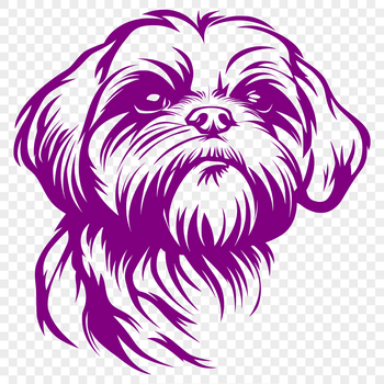 A portrait of a small dog with a flat face and long fur.