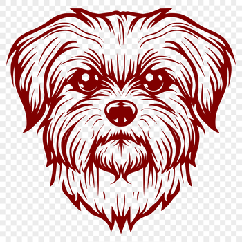 A small breed dog with a fluffy coat, characteristic of the Shih Tzu species.