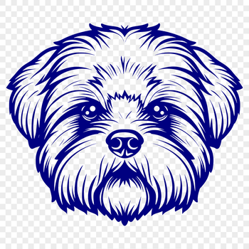 A close-up view of a Shih Tzu's face, showing its distinctive head features.