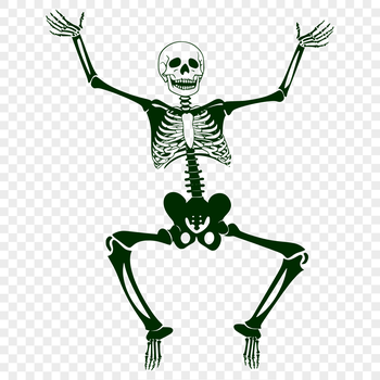 A full-body skeleton illustration in a vector design, suitable for commercial or personal use.