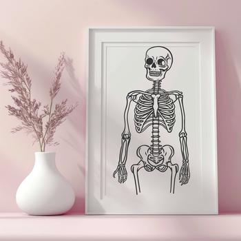 A 2D illustration of a standing human skeleton in a simple style.