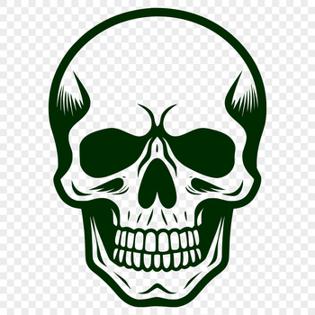 Illustrated witchcraft design featuring a skull and gothic elements in vector format.