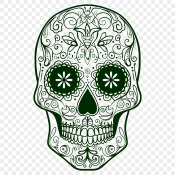 A simple line art illustration of a skull.