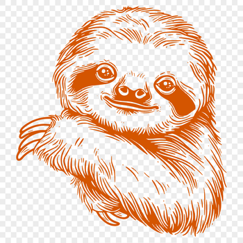 Illustrative sloth animal vector design