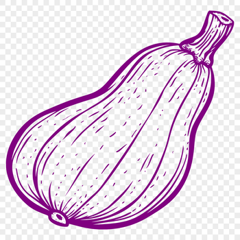A digital illustration of a squash vegetable with detailed texture.