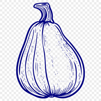 A detailed illustration of a squash vegetable with various elements for cutting.